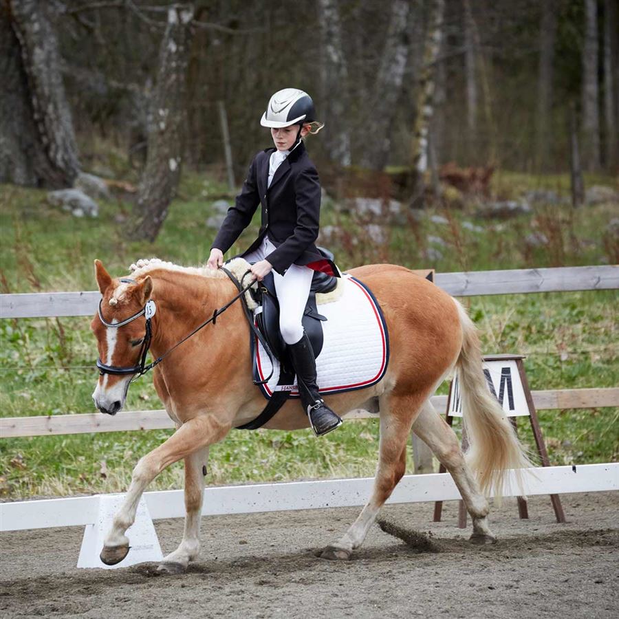 En flicka rider på en häst i en dressyrtävling