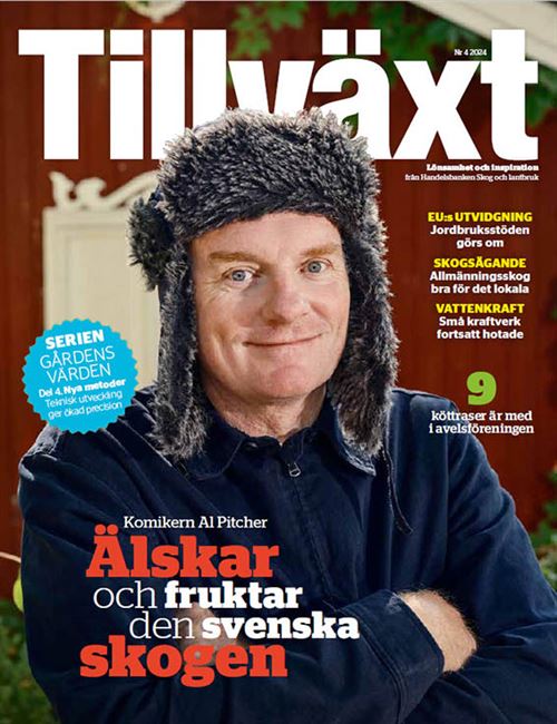 Bild på tidningen tillväxt