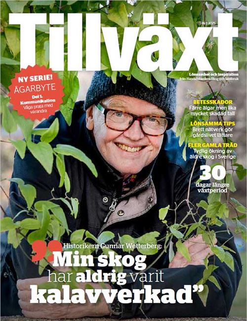 Bild på tidningen tillväxt